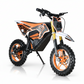 CarKiddo | Elektrische Kindercrosser 1000W Rood