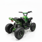 CarKiddo | Elektrische Kinderquad 1000W Groen
