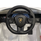 Lamborghini Sian