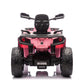 Can-Am | Elektrische 2-persoons kinderquad 24V - 4x4 -Roze