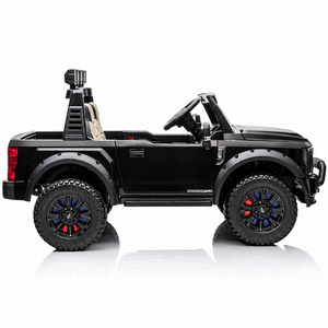 Ford F450 Heavy Duty | 2-Persoons 24V - Zwart
