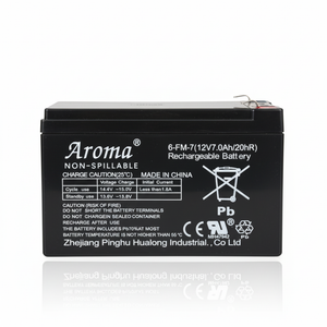 Accu 12V 7,0Ah