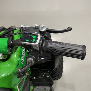 CarKiddo | Elektrische Kinderquad 1000W Groen