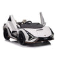 Lamborghini Sian | Kinderauto 2-Persoons 24V  - Blauw